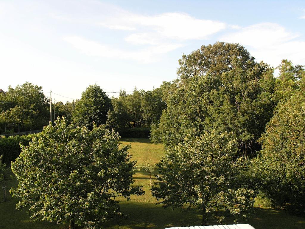 Stirenca B&B Trieste Esterno foto