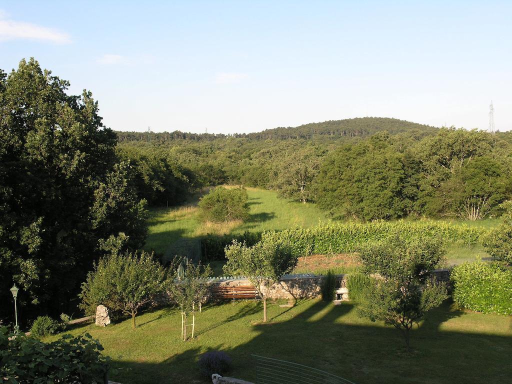 Stirenca B&B Trieste Esterno foto